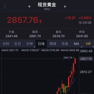 金价狂飙！一夜涨了11元，突破860元/克！女白领跨城买它：排了好长的队 ...