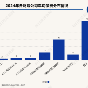 2024年险企车均保费观察：近七成财险机构车均保费低于2000元，“鲶鱼”比亚迪财险表现 ...