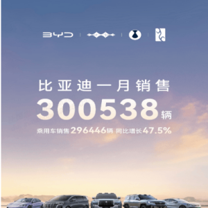 中国销冠 比亚迪25年1月销售30万台