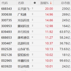 A股低空经济概念股再掀涨停潮！广和通、光弘科技涨14%，震裕科技涨12%，并行科技、康 ...