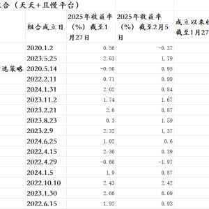 基金投顾月报丨DeepSeek成“最好的试金石”？有知名海外投顾组合年内收益回吐 ...