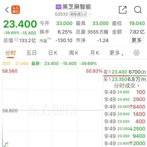 刚刚！黑芝麻智能大跌近50%，发生了什么？