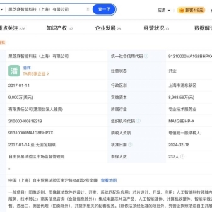与比亚迪相关报道引发股价大起大落，揭秘涉事公司黑芝麻智能 ...