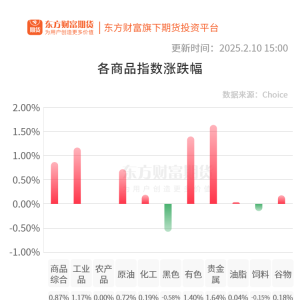期市收评