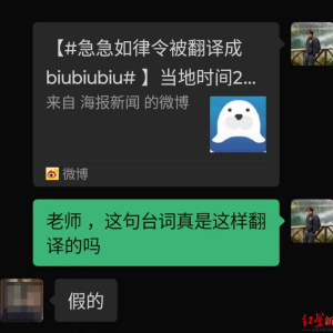热搜！急急如律令被翻译成biu biu biu？《哪吒2》海外发行商回应 ...