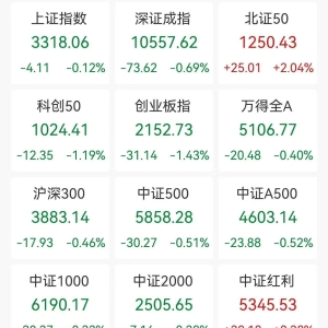 A股收评：三大指数下跌，沪指跌0.12%创指跌1.43%北证50涨2.04%，盲盒经济冲高，DeepSe ...