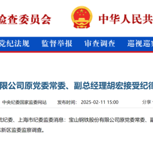 辞职、被带走……宝钢股份原副总经理胡宏已被查！年薪曾达200万元 ...