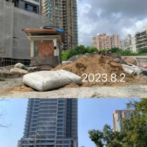 停工、破产、复工⋯⋯上海这个千万级豪宅艰难“重生”
