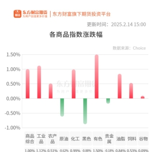 期市收评