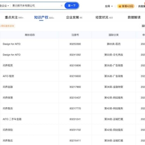 赛力斯申请“问界”系列商标 涵盖二手车、金融、售后