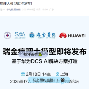 今日，两大巨头将发布AI大模型！