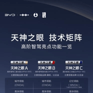 第一个扛起全民智驾的大旗，比亚迪有何底气？