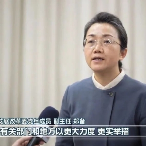 在《新闻联播》出镜，王传福、王兴兴、雷军等最新发声！