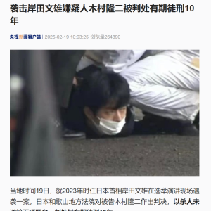 投掷筒状爆炸物袭击日本首相，26岁男子被判刑10年！