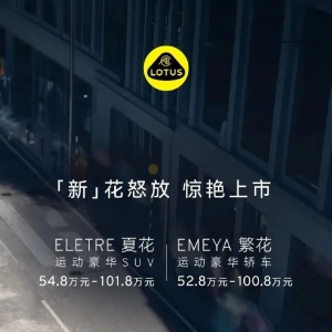 新款车发布，突然降价超10万元，老车主不满：玩背刺？总裁紧急道歉 ...