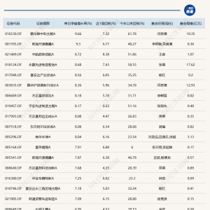 11只基金今日涨超8%，单日冠军年内已涨超60%