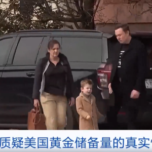 马斯克，最新查账目标曝光！这次是黄金！