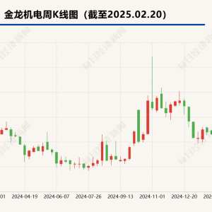 金龙机电拟终止24亿元投资项目  公司称将与政府部门协商退回土地使用权 ...