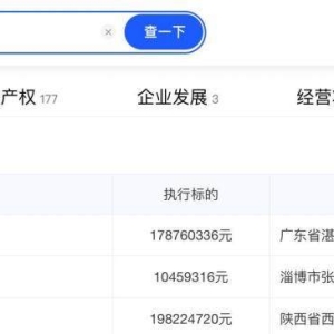 国美电器被强执超3.8亿元，累计被执行金额超39亿元