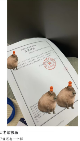 http://aiwsw.com/webfiles/data/images/bb/5e716ccbc6e6870d110d69db7a910b.png