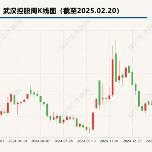 武汉控股拟收购武汉市政院100%股权  标的公司参与设计武汉70%以上雨污水管渠 ...