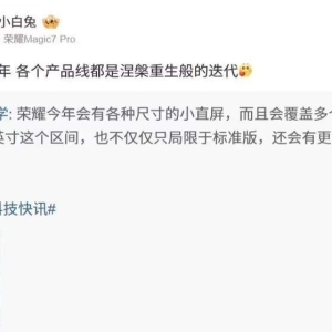 荣耀林林：2025，各产品线将迎来“涅重生般的迭代”