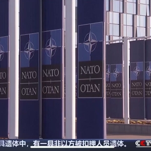 美官员：乌克兰加入北约“不在考虑范围”！如何结束俄乌冲突？泽连斯基有了新提议 ...