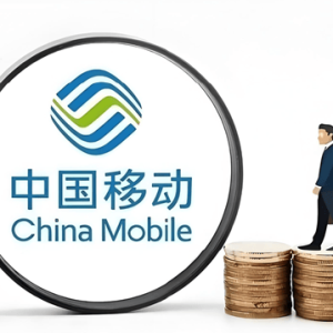 天价流量费3000元！ 中国移动“吸血”银发族老年人：未尽提醒义务？用户晒客服聊天截 ...