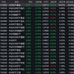 市场早盘低开反弹，中证A500指数下跌0.31%，2只中证A500相关ETF成交额超20亿元 ...