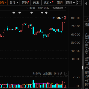 “寒王”寒武纪爆发，首次突破800元，三年涨16.08倍！AI PC新品密集发布，概念股弘信 ...
