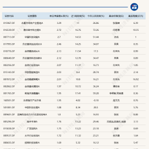单日上涨2.72%后，年内表现最好的基金收益率已突破70%
