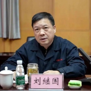 官方披露：刘继国被责令辞去全国人大代表职务