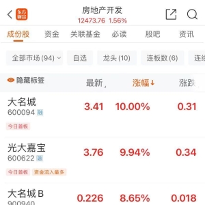房地产板块冲高，大名城、光大嘉宝双双涨停！“科技六小龙”火出圈，杭州楼市回暖？ ...
