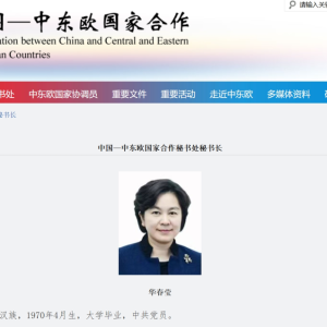 华春莹，添新职！