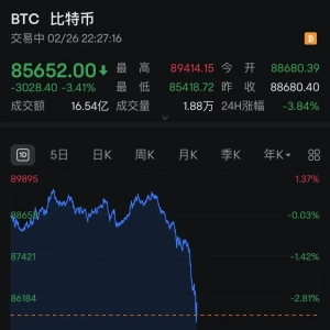 比特币突现过山车！一度跌破86000美元 12万人爆仓！