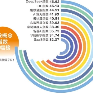 DeepSeek推动AI平权 国产算力迎来价值重估