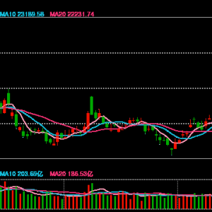 港股开盘：恒指低开0.43%科指跌0.31%！小米集团涨近5%，网易涨0.45%，京东集团、美团 ...