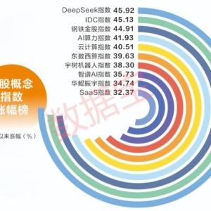 DeepSeek重估科技股！国产算力狂欢背后，四重风险需重视