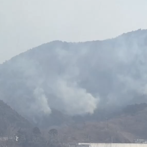 日本遭遇50年来最严重山火  美国南、北卡罗来纳州山火持续蔓延 ...