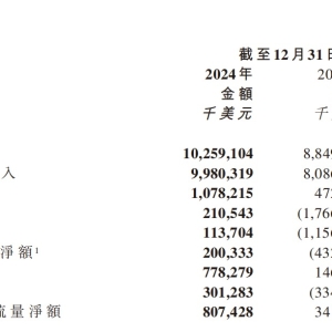 2024年净利润1.1亿美元快递红海突围，极兔全年盈利背后的扩张与变革之路 ...