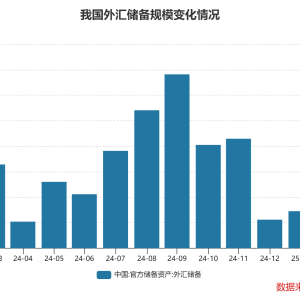 2月末外储规模上升 央行连续四个月增持黄金