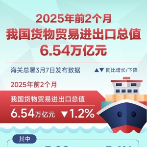 前两个月我国货物贸易进出口总值6.54万亿元 出口规模创历史同期新高 ...