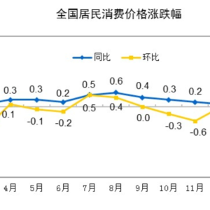 CPI同比转负，PPI降幅收窄，专家：1-2月物价走势偏弱，但促消费政策对物价有支撑作用 ...