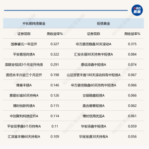 债市调整尚未结束，纯债基金表现继续低迷，收益率走高能否吸引投资者关注？ ...