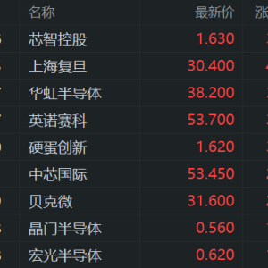 美国或将就中国生产的传统芯片举行听证会，港股半导体股拉升！华虹半导体涨近4%，中芯 ...
