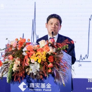 嘉实基金股票策略研究总监方晗：2025中国股市呈理性乐观态势，结构性机会凸显 ...