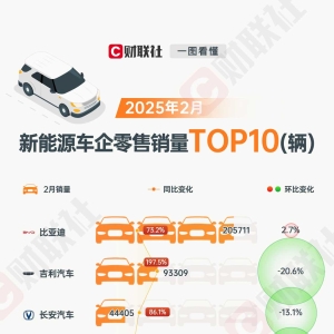 2月新能源车销量TOP10：小米进场、鸿蒙落榜、小鹏飙涨