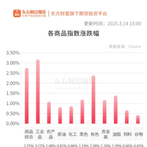 期市收评