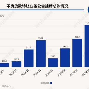 银行业加速出清不良贷款，有个贷转让项目“挂牌”起始价不到1折！ ...