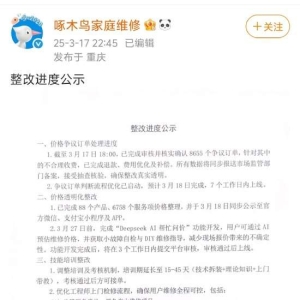 央视315晚会曝光后，啄木鸟公示整改进度：已确认8655个争议订单，开发“Deepseek AI帮 ...